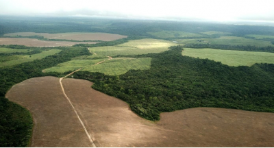 Photo 5. En améliorant les pratiques agricoles, comme par exemple en mécanisant la préparation du sol, les agriculteurs s’intéressent aux zones les plus favorables, où des rendements plus élevés compenseront l’investissement réalisé. Ils abandonnent alors les autres zones, où la forêt peut se réinstaller rapidement, puis former une trame connectée et cohérente. Dans ce processus, les revenus agricoles augmentent, et les forêts rendent de multiples services environnementaux : le paysage est devenu plus efficient, mieux organisé, comme sur cette photo dans la haute-vallée du Potiritá, à l’Ouest de Paragominas.